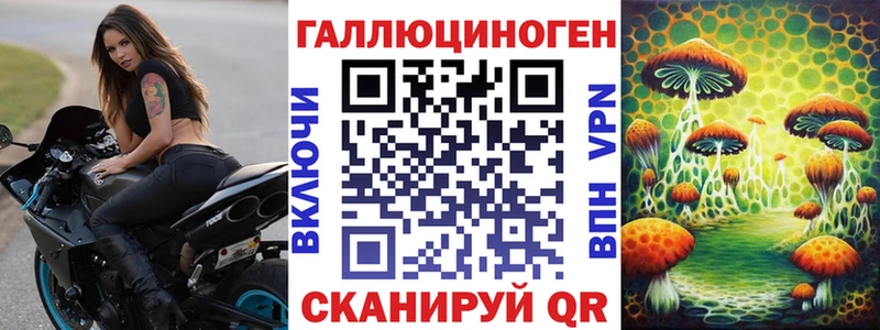 Псилоцибиновые грибы Psilocybe  ОМГ ОМГ вход  Вольск 